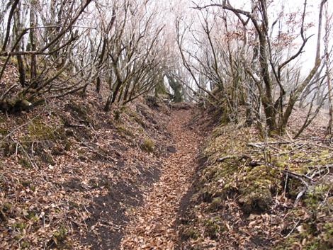 20181205hike (90)